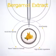 Bergamot Oil, Premium Essential Oil for Hair Care, Home Diffusers, Skin, Spas, Massages and Humidifiers